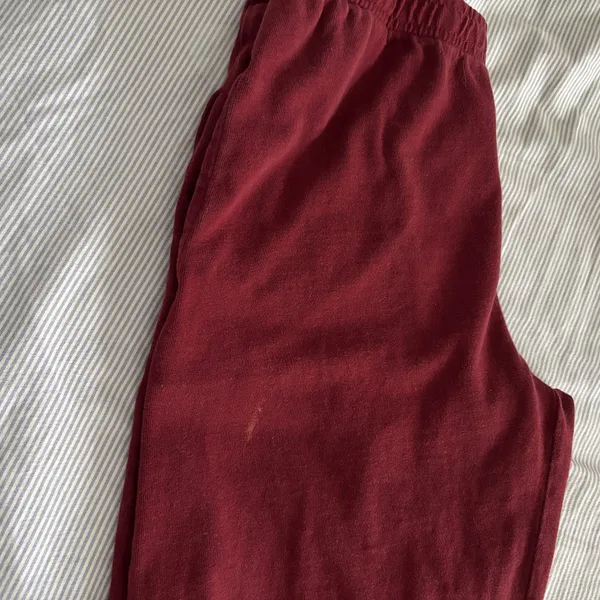 Brandy Melville Sweatpants Red John Galt - Image 4