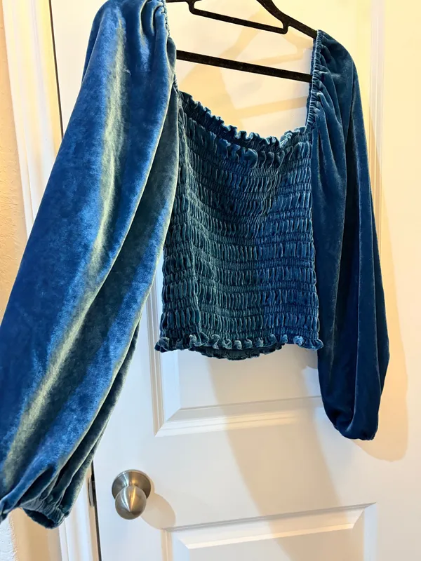 Anthropologie by Anthropologie Velvet Smocked Long Sleeve Crop Top - Image 2