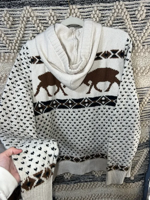 American Eagle Sweater Hoodie - Image 5