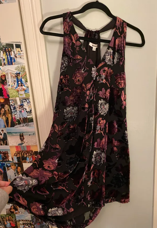 BB Dakota Dress - Image 3
