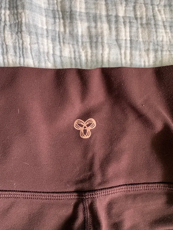 Aritzia TnAction Shorts - Image 4