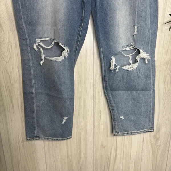 NWT American Eagle Plus Size Ripped Cool Classic Mom Jeans Crop Ankle 16 Short - Image 5