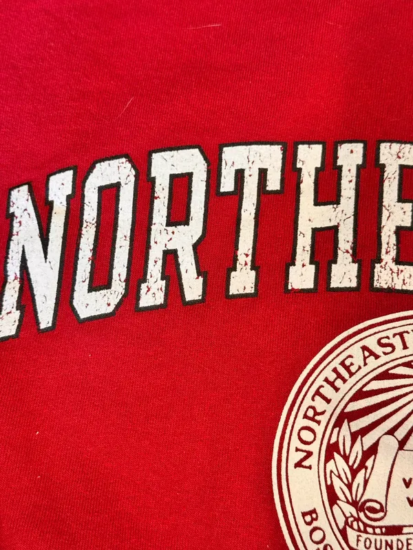 Champion Northeastern University Red Sweatshirt M Collegiate Huskies - Image 6