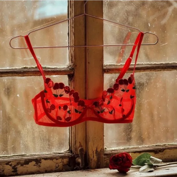 FOR LOVE & LEMONS Cerice Red Lace Cherry Lingerie Bra - Image 4