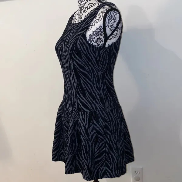 Free People Movement Zebra Print Chenille Textured Drop Waist Mini Dress Si… - Image 9
