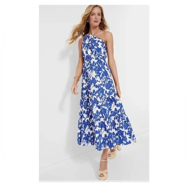 Hyacinth House Sybil Maxi Dress XXS Blue Floral One Shoulder Cotton Lined NWT - Image 11