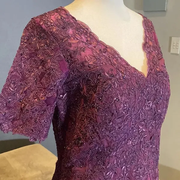 Women’s Full Length Purple Short Sleeve Chiffon Dress Lace Appliqué Size 10 - Image 3