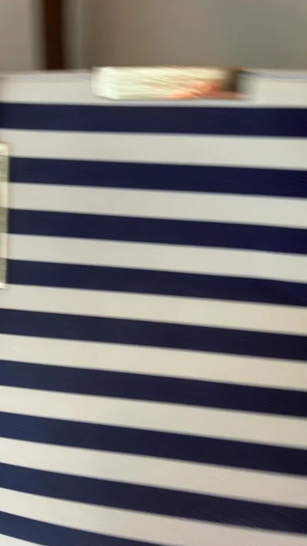 ALDO Purse - Image 3