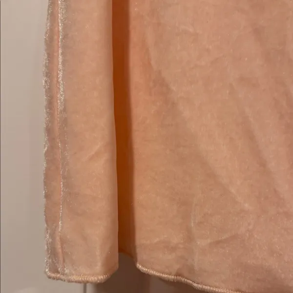 Free People Terese Blush‎ Ruffled velvet Blouse medium NWT - Image 4