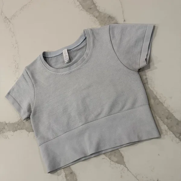 Offline by Aerie Sidewalk Seamless Ribbed Cropped TShirt Womens Medium LightBlue - Image 2