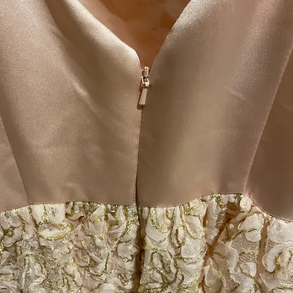 NWT Fifteen Roses pink party dress, prom dress, size 6, waist 14” - Image 3