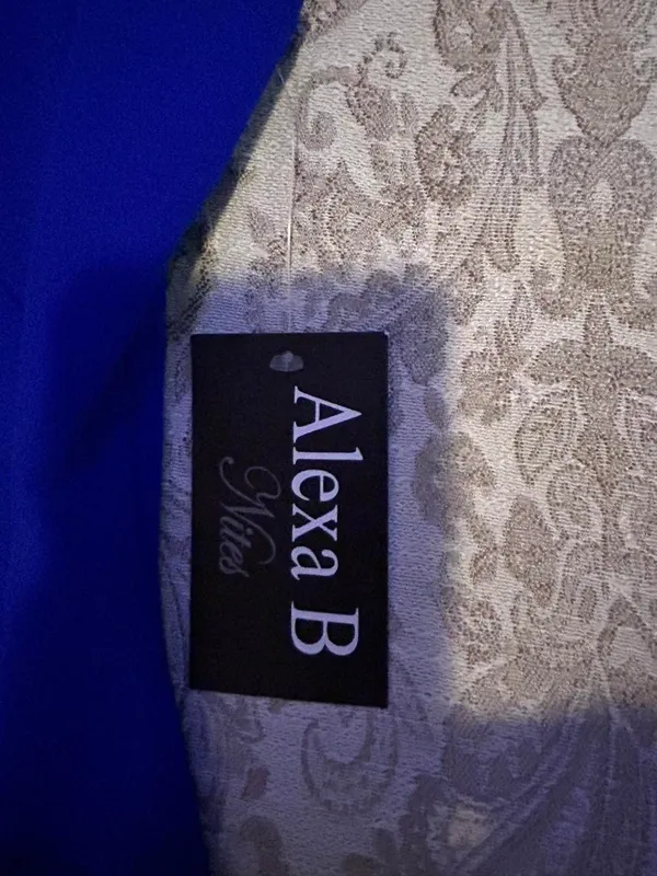 Alexa B Nites blue maxi dress in size 6 - Image 2