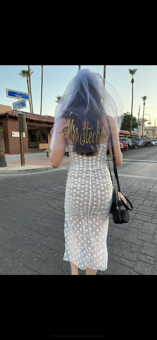 Majorelle Revolve  Brady Dress - Image 2
