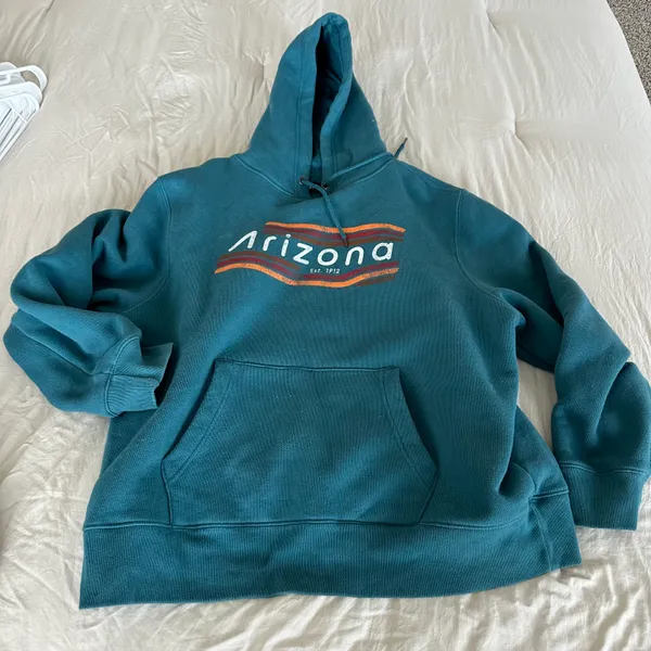 State of Mine Y2K Teal Arizona Hoodie - Image 2