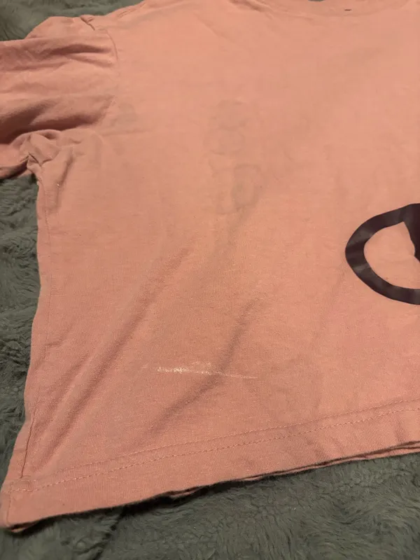 Champion Pink Crop Tee Logo Graphic Short Sleeve Size Medium - Image 8
