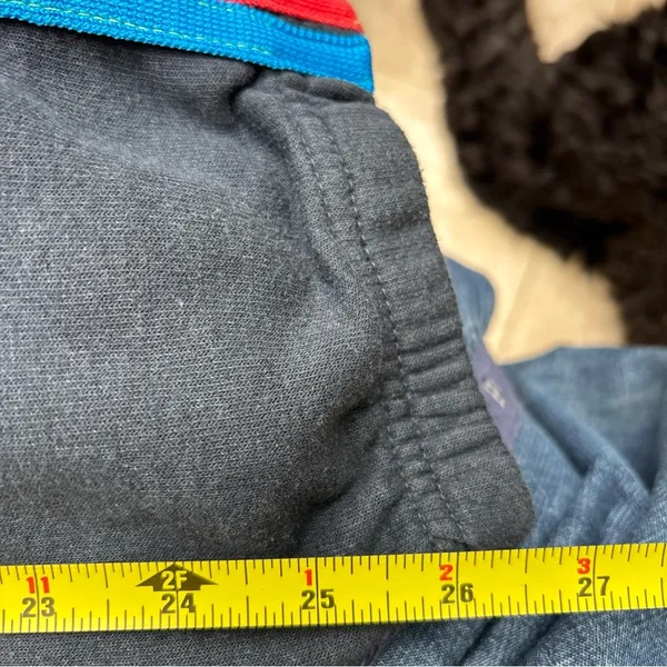 Aviator Nation Gray Sweatpants with Multicolor Stripes - Image 3