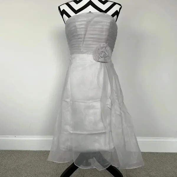 Source Unknown Silver Chiffon Mini Party‎ Dress - Image 3