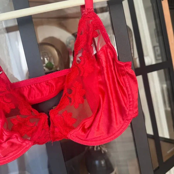 Vintage Dior silk lace bra wiring sheer mesh floral red sexy claspfront lingerie - Image 5