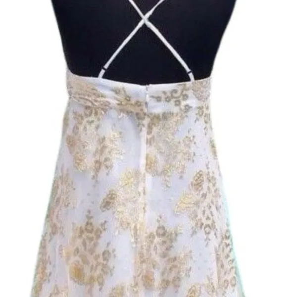 Cache Gold Metallic Silk Sheer Illusion Lace Top Dress Fit Flare New NWT $158 6 - Image 10