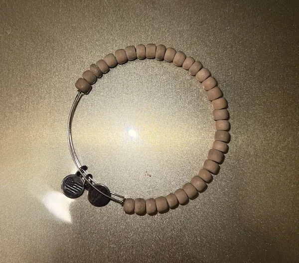 Alex and Ani Bangle Charm Bracelet - Image 2