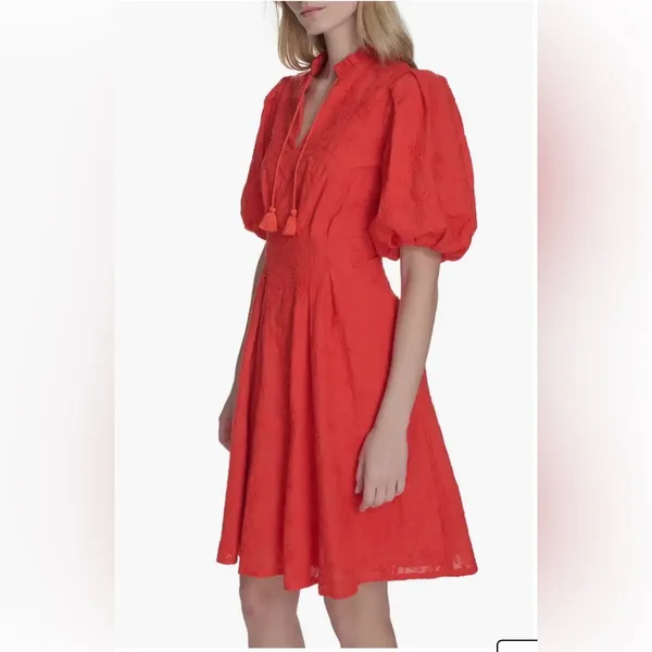 Eliza J Floral Embroidered Puff Sleeve Cotton Fit & Flare Dress in Red 14 - Image 2