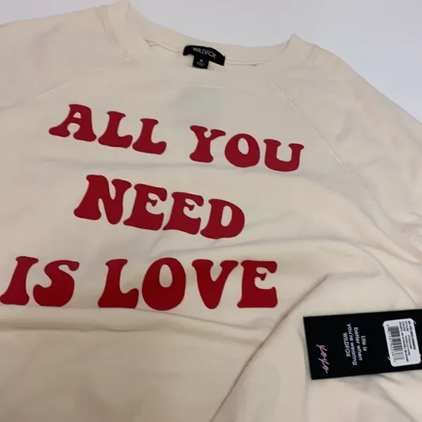 Wildfox All you need‎ is love sommers sweatshirt C29 - Image 3