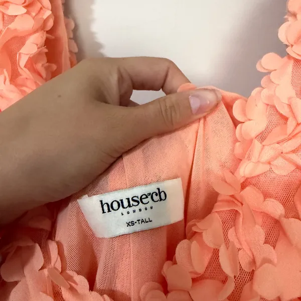 House of CB 'Faena' Sorbet Plunge Appliqué Mini Dress Size XS - Image 8