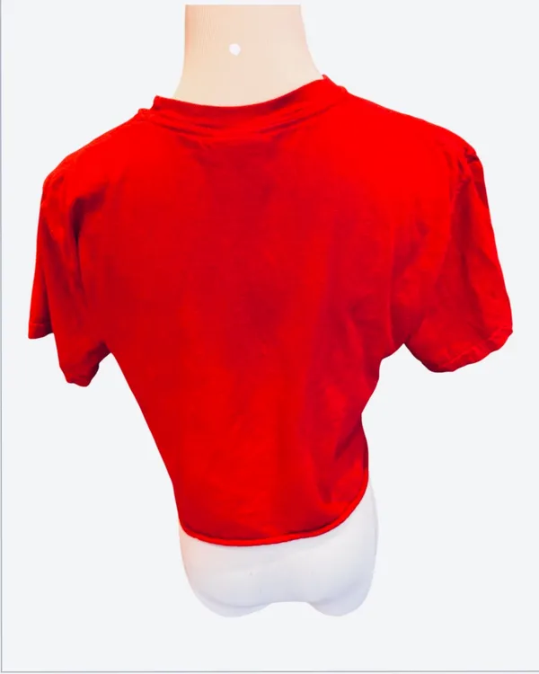 Comfort Colors Northeastern University Red Crop Top Tshirt Collegiate S Huskies Boston - Image 4