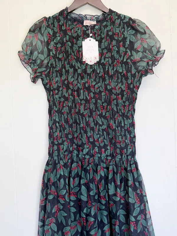 NWT IVY CITY CO Hayden Dress in Lush Garden Small - Image 3