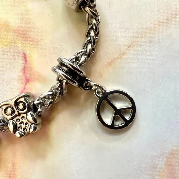 Silver tone bird flower peace owl charm bracelet - Image 3