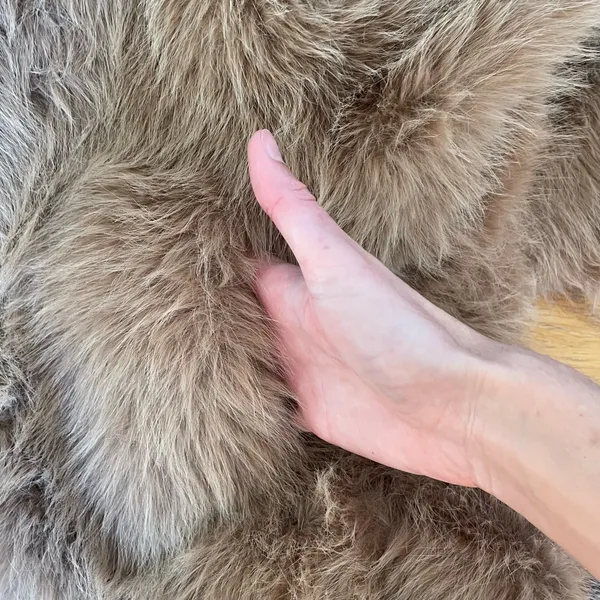 Lazeti Women’s Faux Fur Coat Camel Brown Plush Oversized Jacket Size S - Image 7