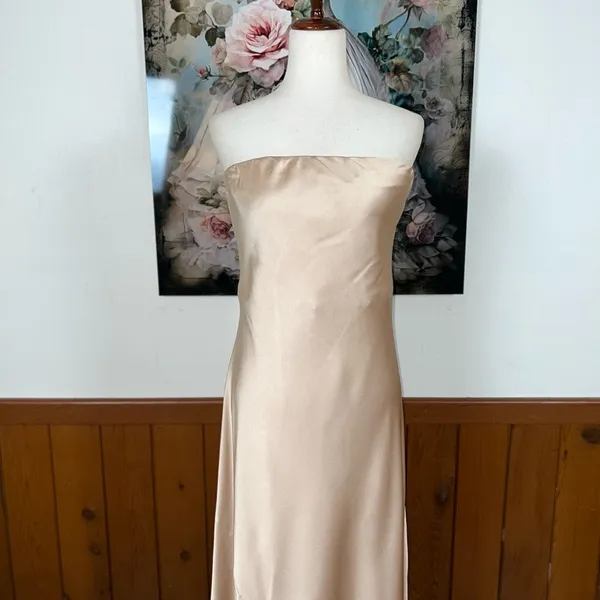 Elegant New Show Me Your Mumu Taylor Tube Maxi Dress! - Image 3