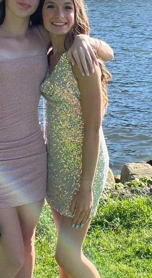Sequin Windsor Dress - Image 4