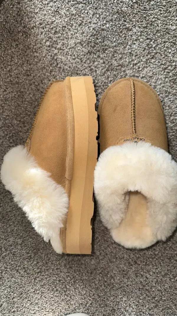 BEARPAW Platform - Image 2