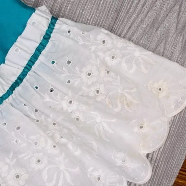 Unique handmade Florida dress clogging dance costume dress ruffle flare - Image 4