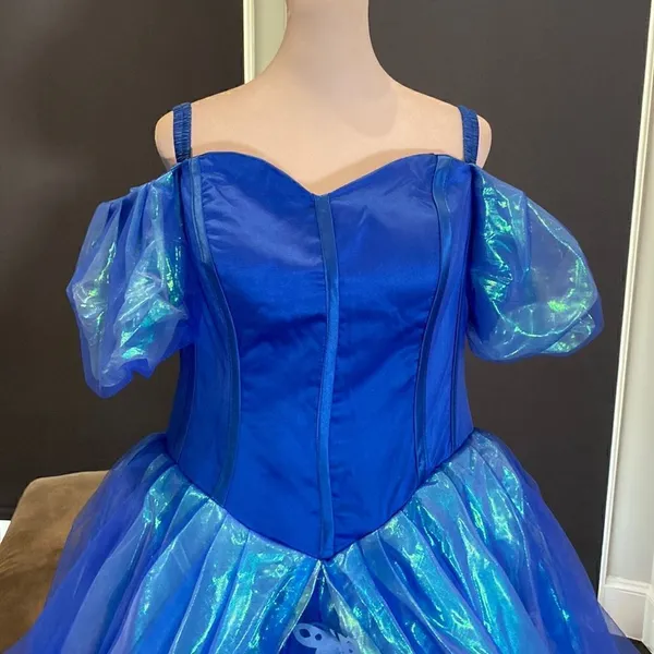 Gorgeous Fairy Tale Cinderella Dress with Butterflies Size 14 NWT - Image 2