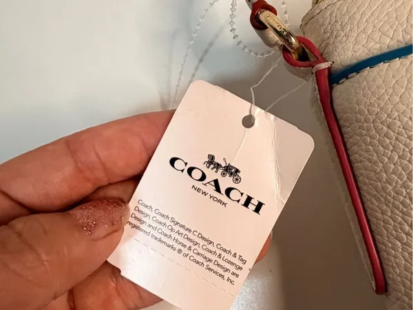 Coach Chalk Crossbody with Pink Trim and Blue Accent - Image 5
