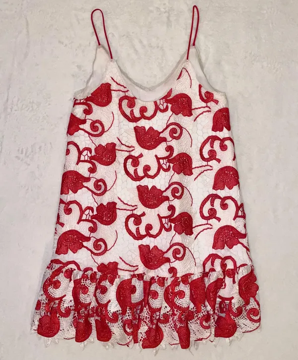 Womens Clement Sleeveless Netted Ruby Mini Dress size XS - Image 6