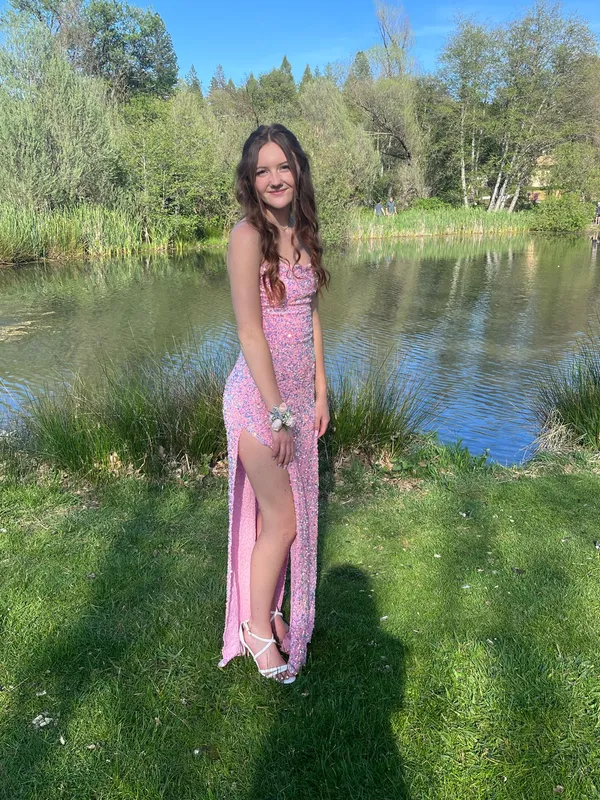 Lucy in the Sky Dress Sequin - Image 5