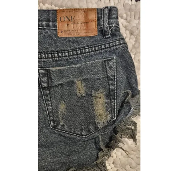 One Teaspoon x Free People Bandits Button Fly Shorts Size 27 - Image 4