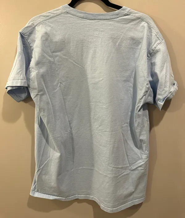Comfort Colors 2019 Georgia College Panhellenic Bid Day Tee - Image 2