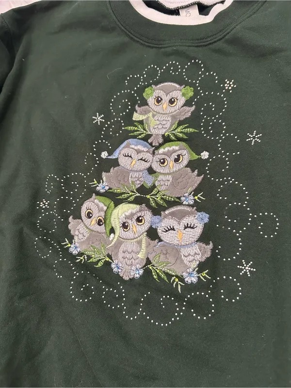 Morning Sun green crewneck sweatshirt winter embroidered owl shirt woman’s M - Image 4