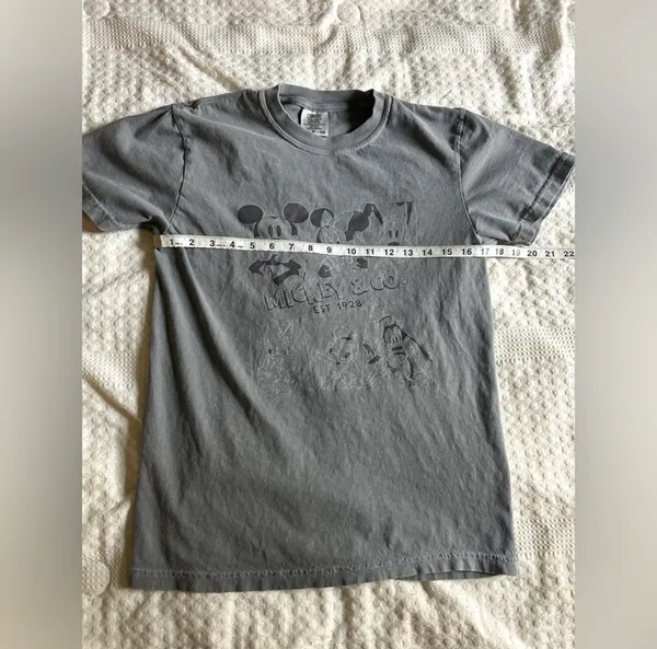Comfort Colors Disney Graphic Tee Small Gray Garment Dyed - Image 6