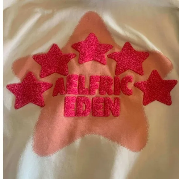 Aelfric Eden Starcore Pink Towel Embroidery Oversized Hoodie Cream XS Y2K‎ - Image 5