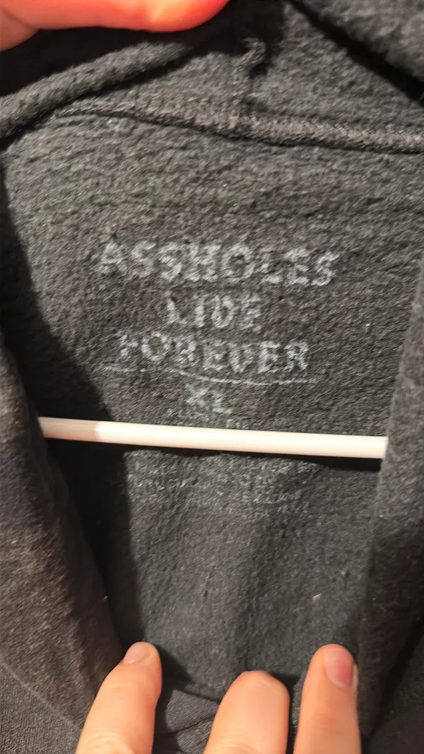 assholes live forever hoodie Gray Size XL - Image 2