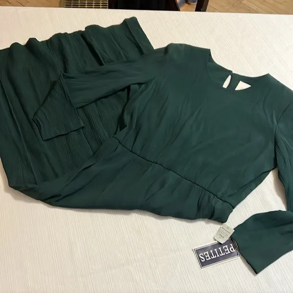 Sears Petites Hunter Green Pleated Sleeve Maxi Dress Size‎ 16P NWT 6333M - Image 2