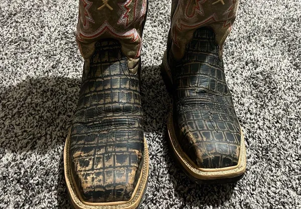 Twisted X Women's Caiman Print Composite Square Toe Work Boots - Image 2