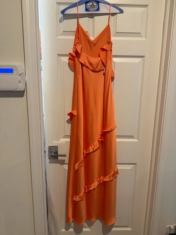Birdy Grey Apricot Dress - Image 3