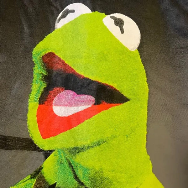 Disney The Muppets Kermit The Frog DREAMER Long Sleeve Shirt NWT Size XL 46-48 - Image 3