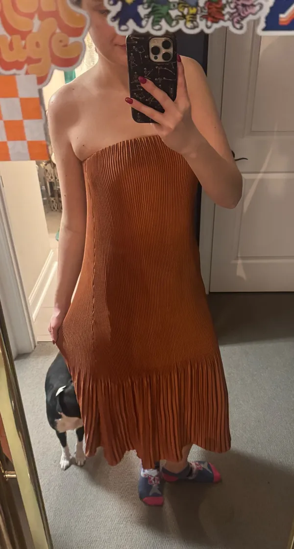 Abercrombie Maxi Dress - Image 2